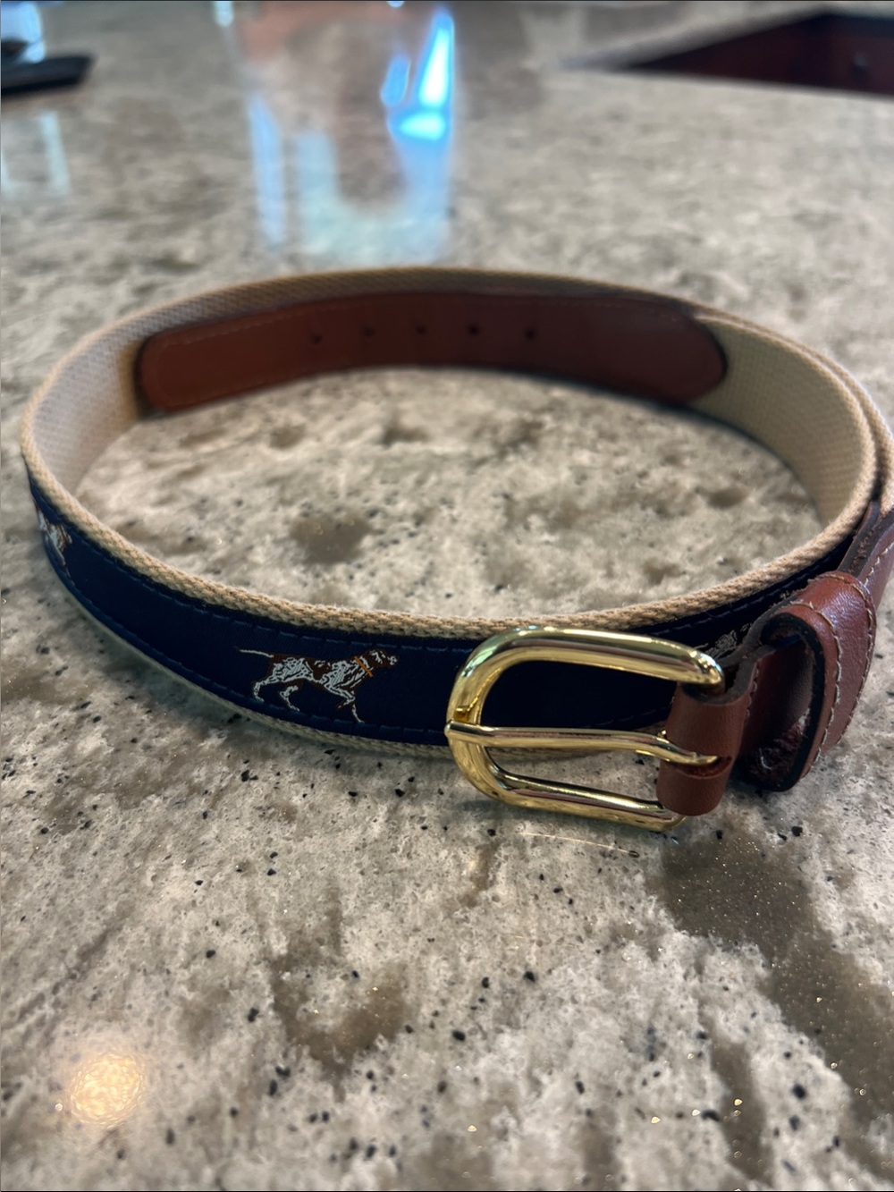 Men's Navy Canvas Belt with Brown Leather Trim and Gold Buckle